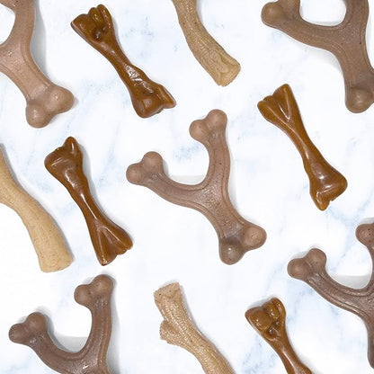 Nylabone Gourmet Style Femur, Wishbone, & Stick Strong Chew Toy for Puppies, Bacon, Chicken & Peanut Butter Flavor, Small - Up to 25 Ibs, 3 Pack