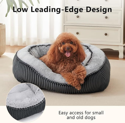SIWA MARY Small Dog Beds for Small Dogs Washable, Rectangle Dog Bed Medium Size Dog, Orthopedic Dog Bed, Soft Calming Sleeping Puppy Bed, Durable Pet Sofa Bed with Anti-Slip Bottom, S(20"x19"x6")