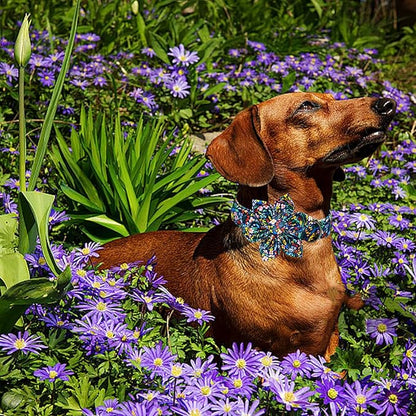 Lionheart glory Dog Collar Darkblue Flower Dog Bow Collars Floral Dog Collar with Flower Male or Female Spring Fall Pet Gift Durable Adjustable Dog Collar for Medium Dogs, B:Garden