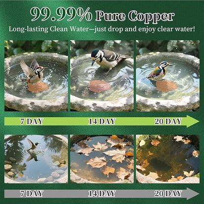 Bird Bath Copper Disk, 99.99% Pure Copper Metal Disc Bird Bath Cleaner for Outside Bowl Physical Safe Outdoor Water Purify Accessories (3-Point Support Design)
