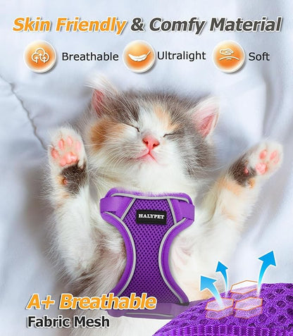Halypet Cat Harness and Leash Set [MAX Safety 4th-Gen Upgrade] Escape Proof Adjustable Cat Leash Comfortable Soft Vest Easy to Wear Kitten Harness with Reflective Strip for Cats Walking, M Purple