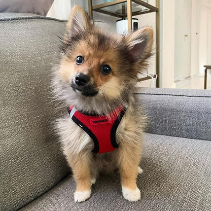 Best Pet Supplies Voyager Step-in Air Harness - All Weather Mesh, Reflective, No Pull Harness for Dogs, Cats - Secure with Hook & Loop Fastener, Buckle, Double D-Rings - Red/Black Trim, XXS