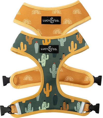 Lucy & Co. Looking Sharp, Cute Reversible Dog Harness Walking Halter - Best Designer Pet Harnesses for Medium Dogs - Padded Adjustable Vest for Easy Walking (X-Small)