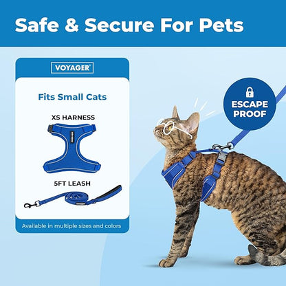 Voyager Escape-Proof Step-in Lock Cat Harness & 5ft Neoprene-Handle Leash Set All-Weather Mesh with Reflective Stitching for Small to Large Cats by Best Pet Supplies, Royal Blue (327), XS