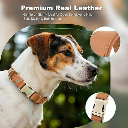 Plutus Pet Genuine Leather Dog Collar – Adjustable Pet Collar with Quick Release Metal Buckle, Soft Real Leather for Small Medium Large Dogs, Heavy Duty & Skin-Friendly (Light Brown, S)