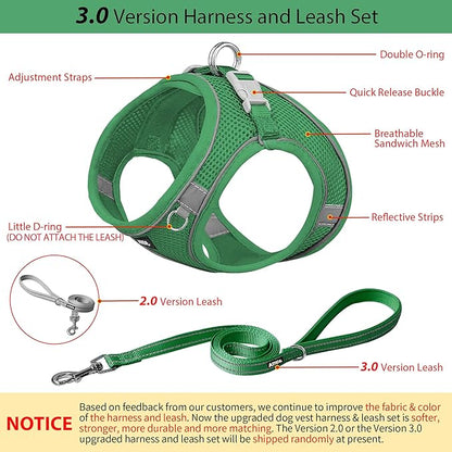 AIITLE Small Harness for Puppy with A Leash - Dog Vest Harness with Super Breathable Mesh, Reflective No-Pull Pet Harness for Outdoor Walking, Running for Small Dogs, Cats Green XXS