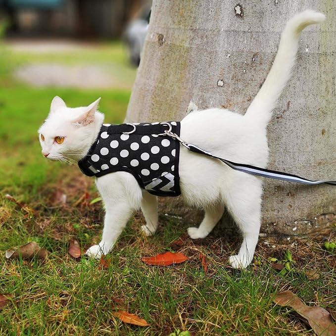 Cat Harness and Leash for Walking Escape Proof, Adjustable Cat Vest Harness, Padded Stylish Cat Walking Jackets, Polka Dot Black, Extra Large