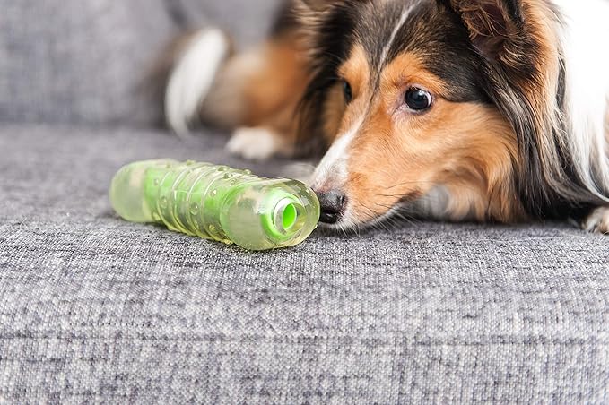 Petstages Crunchcore Bone Water Bottle Alternative Dog Chew Toy, Medium