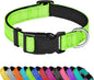 Reflective Dog Collar, Adjustable Soft Neoprene Padded Nylon Pet Collars with Buckle for Puppy and Small Dogs, Cats, Green,XS