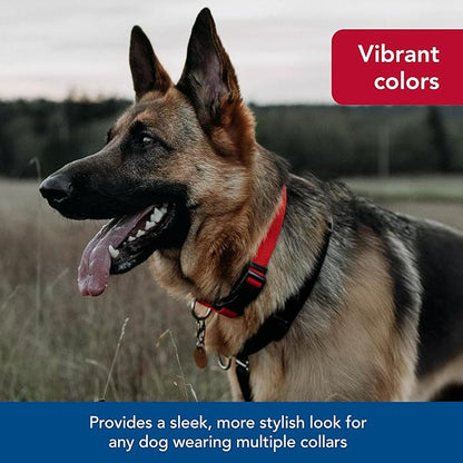 Coastal Pet SecureAway Collar Protector for Flea Collars - Adjustable pet Accessory - Protective Flea Collar for Dogs & Puppy - Multi Paws, 5/8" x 8-12"