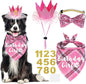 Dog Birthday Party Supplies, Multi Sizes Dog Birthday Hat Crown with Numbers Bandana Girl Bow Tie for Medium Large Dogs Pets (Pink, Large)