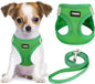 YIMEIS Dog Harness and Leash Set, No Pull Soft Mesh Pet Harness, Reflective Adjustable Puppy Vest for Small Medium Large Dogs, Cats (Green, X-Small (Pack of 1)