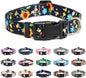 Mercano Adjustable Dog Collar - Special Design Patterns, Soft Nylon Comfortable Durable Pet Collar for Small Medium Large Dogs (M, Sunflower)