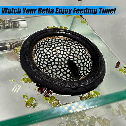 Aquarium Floating Betta Fish Skins, Betta or Shrimp Feeder, Cave and Hammock, Small Fish Feeding Rings, Aquarium Hiding Feeding Decorative Accessories (Translucent Color)