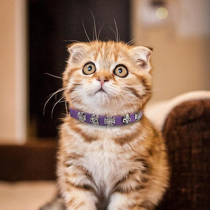EXPAWLORER Leather Cat Collar for Girl Boy- Adjustable Pet Collar with Safety Elastic Belt,Personalized Punk Accessories Buckle Collars with Bell & Durable D-Ring, Skull(Purple)