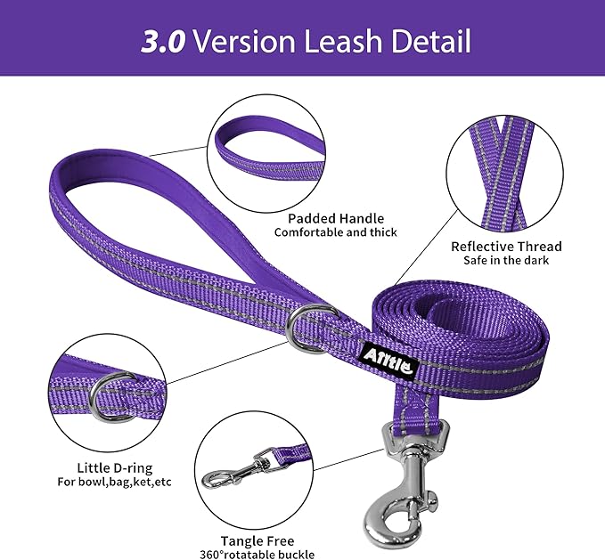 AIITLE Easy Walk Dog Harness and Leash Set - Pet Supply No Pull, Step in Adjustable Pet Harnesses with Padded Vest for Summer, No Choke Over, Easy to Put on Medium Dogs Pure Purple L