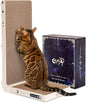 Cat Scratcher, 25.3 Inch Double Sided L Shape Cat Scratching Board, No Assembly Cat Scratch Pads with Ball Toy, Cat Scratchers for Indoor Cats & 3X Catnip, Large