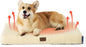 Bedsure Self Warming Dog Bed for Medium Dogs - Comfy Cat Beds with Removable Washable Cover, Orthopedic Egg Crate Foam Pet Mat, Suitable for Pet Up to 30 lbs (Non Electric)
