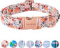 Unique style paws Dog Collar Metal Buckle Pink Rose Puppy Collar Flower Gift Durable Cute for Small Medium Large Boys Girls Dogs