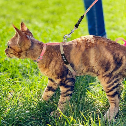 TIESOME Cat Harness and Leash Set, Adjustable Gradient Kitten Harness Escape Proof Harness with Leash for Kitty Outdoor Walking (Orange)