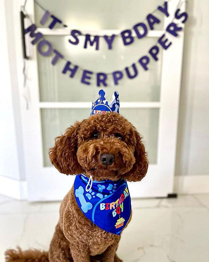 Dog Birthday Party Decorations - Bday Bandana Set - Birthday Boy Bandana for Small Dogs, Puppy, Party Hat, Crown and Cute Dog Birthday Banner with It's My Birthday Mother Puppers Sign