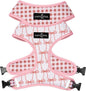 Lucy & Co. Cute Reversible Dog Harness Walking Halter - Best Designer Pet Harnesses for XS - XL Dogs - Padded Adjustable Vest for Easy Walking (Small, Ballet Bows - White & Pink Bows)