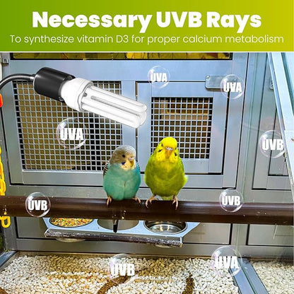 GlowUp Bird Cage Lighting Combo Kit, Clip Lamp with UVB 2.4 20W Compact Fluorescent Bulb for Bird, 360°Rotatable UVB Light for Captive Birds, Reptiles