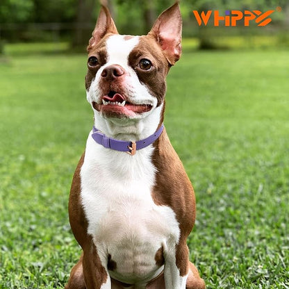 WHIPPY Leather Dog Collar for Small Medium Large Dog Adjustable Soft Breathable Leather Padded Puppy Collar with Alloy Buckle Heavy Duty Waterproof Classic Dog Pet Collar,Purple,L