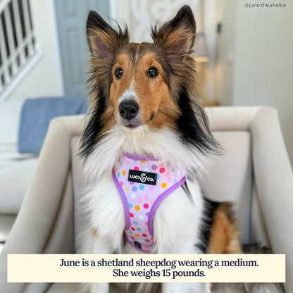 Lucy & Co. Cute Reversible Dog Harness Walking Halter - Best Designer Pet Harnesses for XS - XL Dogs - Padded Adjustable Vest for Easy Walking (Medium, Unicorn Magic - Purple & Pink Unicorns)