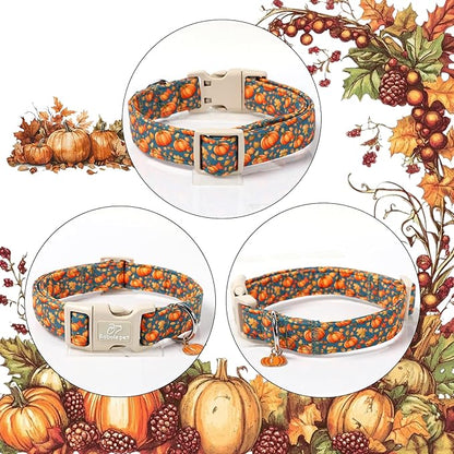 Fall Dog Collar Cute Autumn Pumpkin Puppy Collar - Light Comfortable Adjustable Pet Collars for Small Medium Large Girl Boy Dogs M
