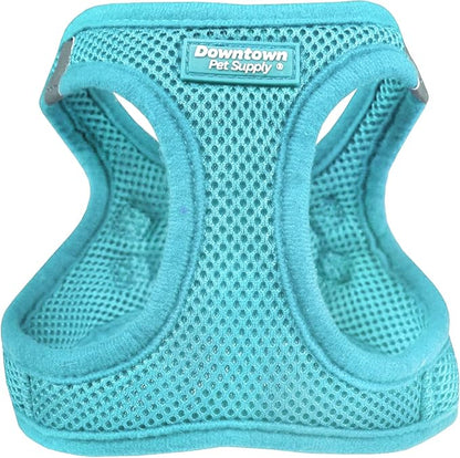 Downtown Pet Supply Step-in Dog Harness – No Pull, Adjustable Padded Mesh with Reflective Trim, Secure Buckle Strap – Comfortable & Breathable Small Dog Harness, XX-Small, Light Blue