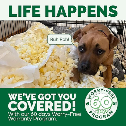 Furhaven Memory Foam Dog Bed for Medium/Small Dogs w/ Removable Bolsters & Washable Cover, For Dogs Up to 35 lbs - Plush & Velvet Waves Perfect Comfort Sofa - Celadon Green, Medium