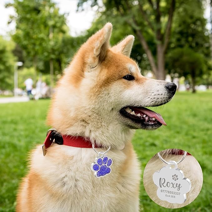 EDSG Cat Dog Tags Personalized for Pets, Dog Name Tags Cat Name ID Tag, Engraved Dog Tags Dog ID Tags Small Glitter Bling ID Tag Paw Print for Cat Pet Dog Puppy(Pink,Design 2)
