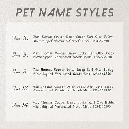 Anavia Small Size Dog Cat ID Tags, Small/XS Personalized Color Plated Stainless Steel Puppy Kitten Name Tags, Customized Engraved Nameplate Pet Collar Tag (Silver, XS-Rectangle)