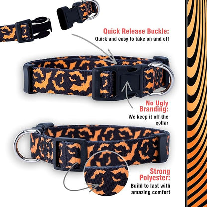 Native Pup Halloween Dog Collar- Spooky Fall Themed Horror Costume Collars- Skull, Pumpkin, Ghost, Bat, Witch, Candy Corn, Spider- Adjustable for Small, Medium, Large Breeds (Small, Orange Bats)