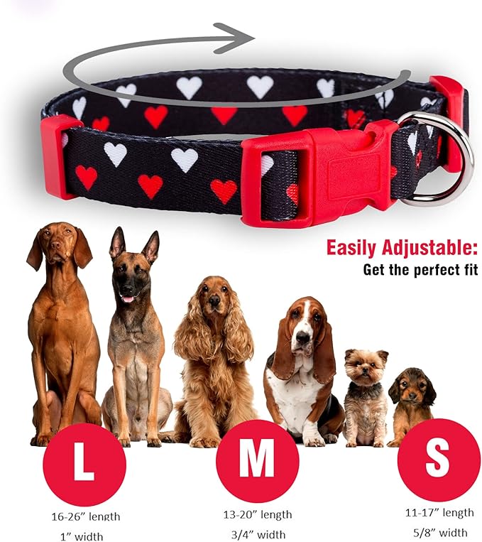 Native Pup Valentine’s Dog Collar- Valentines Day Pet Collars- Valentine Girly Hearts- Pink Red Heart- Cute Boy Girl Puppy Gift- Adjustable for Small, Medium, Large Breeds (White & Red Hearts, Large)