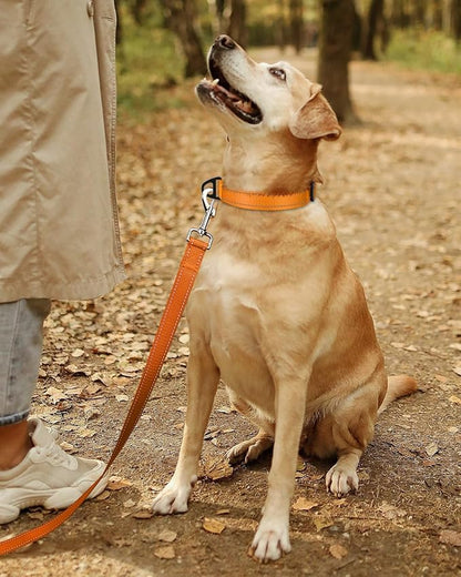 TagME Reflective Nylon Dog Collars, Adjustable Classic Pet Collar with Quick Release Buckle for Large Dogs, Orange, 1.0" Width