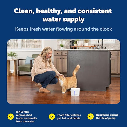 PetSafe Viva Pet Fountain - Encourages Healthy Hydration - Automatic Water Dispenser with Double Filtration - Ultra Quiet Water Fountain - Easy to Assemble & Clean - Stainless Steel - 64 oz