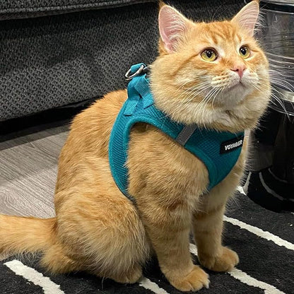 Best Pet Supplies Voyager Step-in Air Harness - All Weather Mesh, Reflective, No Pull Harness for Dogs, Cats - Secure with Hook & Loop Fastener, Buckle, Double D-Rings - Turquoise, XXXS