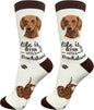 E&S Pets Pet Lover Socks - Dog & Cat Socks - Unisex Novelty Gifts
