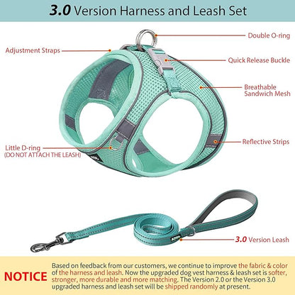 AIITLE Escape Proof Dog Harness - Step in Adjustable Dog Harness No Choke Over with Breathable Mesh and Quick-Release Buckle - Outdoor Walking, Training for Medium Dogs Pure Turquoise XL