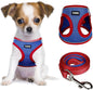YIMEIS Dog Harness and Leash Set, No Pull Soft Mesh Pet Harness, Reflective Adjustable Puppy Vest for Small Medium Large Dogs, Cats (Red & Blue, Medium (Pack of 1)