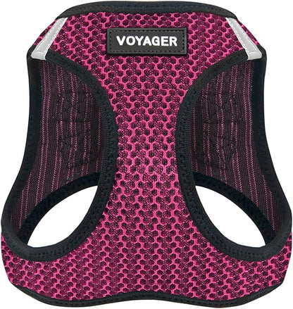 Best Pet Supplies Voyager Step-in Air Harness - All Weather Mesh, Reflective, No Pull Harness for Dogs, Cats - Secure with Hook & Loop Fastener, Buckle, Double D-Rings - Fuchsia 2-Tone, L