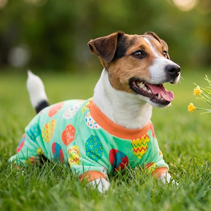 Fitwarm Easter Egg Dog Pajamas, Holiday Dog Clothes for Small Dogs Girl Boy, Pet Easter Outfit, Puppy Cat Onesie, Lightweight Velvet, Light Green, Orange, XXL