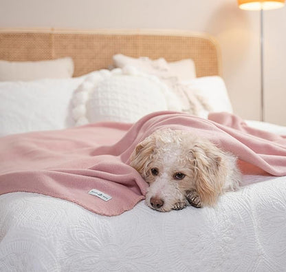 Fleece Throw Blankets Bulk Fleece Blankets Solid Wholesale Lightweight Warm Soft for Pet Bed Sofa Couch Office Wedding Gifts Travel Seasons Grey and Pink 50x60 Inches Pack of 6