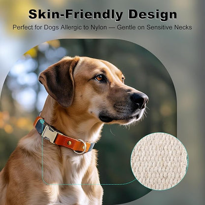 Plutus Pet Genuine Leather & Hemp Dog Collar – Adjustable Heavy Duty Pet Collar with Quick Release Metal Buckle, Soft & Stylish for Puppy and Small, Medium, Large Dogs (Blue, M)