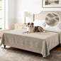 H.VERSAILTEX Non Slip Pet Couch Cover Chenille Dog Bed Protector Thick Soft Sofa Slipcover Pet Friendly Washable Couch Cushion Covers for Pets (52" x 82", Island Fossi)