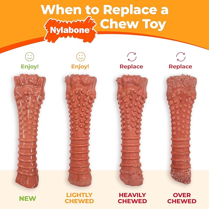 Nylabone Original & Textured Bone Power Chew Toy for Dogs, Durable & Tough Dog Toys for Aggressive Chewers, Basted Blast Bacon and Steak Flavor, Small Dogs - Up to 25 lbs, 2 Pack
