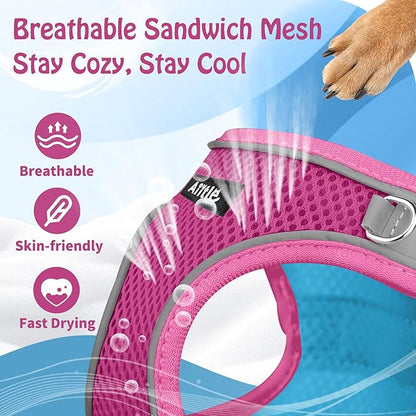 AIITLE Comfortable Dog Harness and Leash Set for Walking - Step in Vest Harness,Reflective Bands, Adjustable No Pull Puppy Essentials, for Small Dogs and House Cats Pink XS