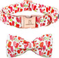 Lionheart glory Dog Collar, Dog Collar with Bow, Popsicle Print Girl or Boy Boy Dog Bowtie Collar Cute Pet Collar Gift for Small Dog
